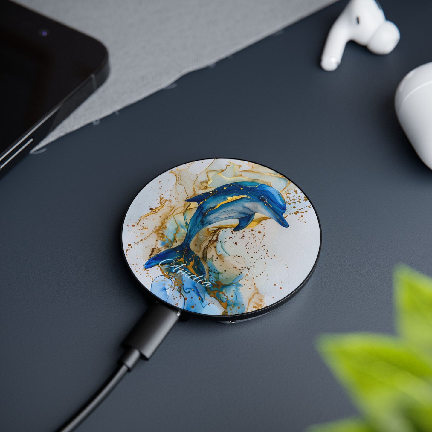 Custom Dolphin Induction Charger